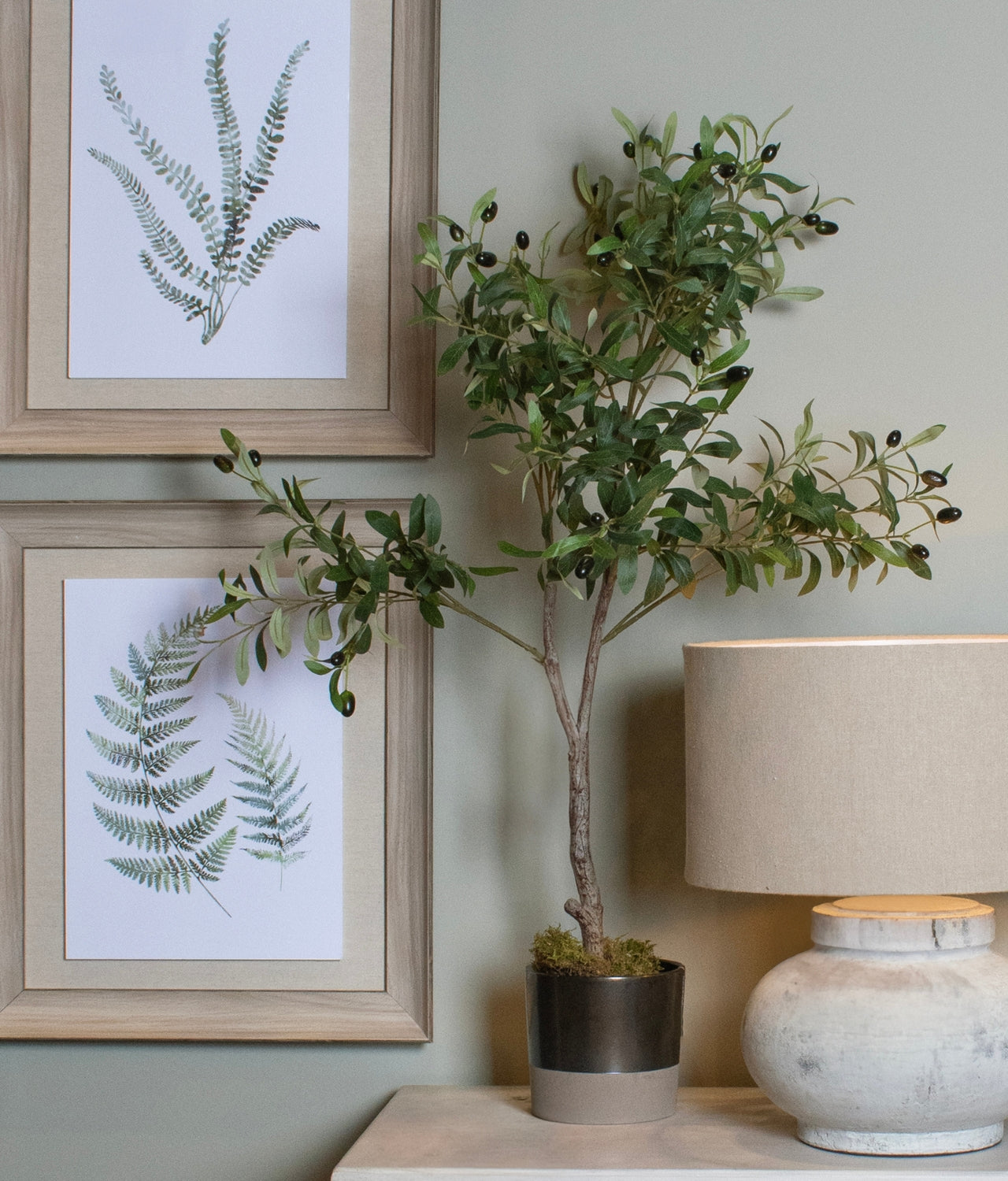 Bloomsbury Olive Tree